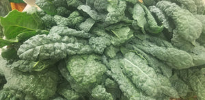 Kale, 3 Varieties to Choose From