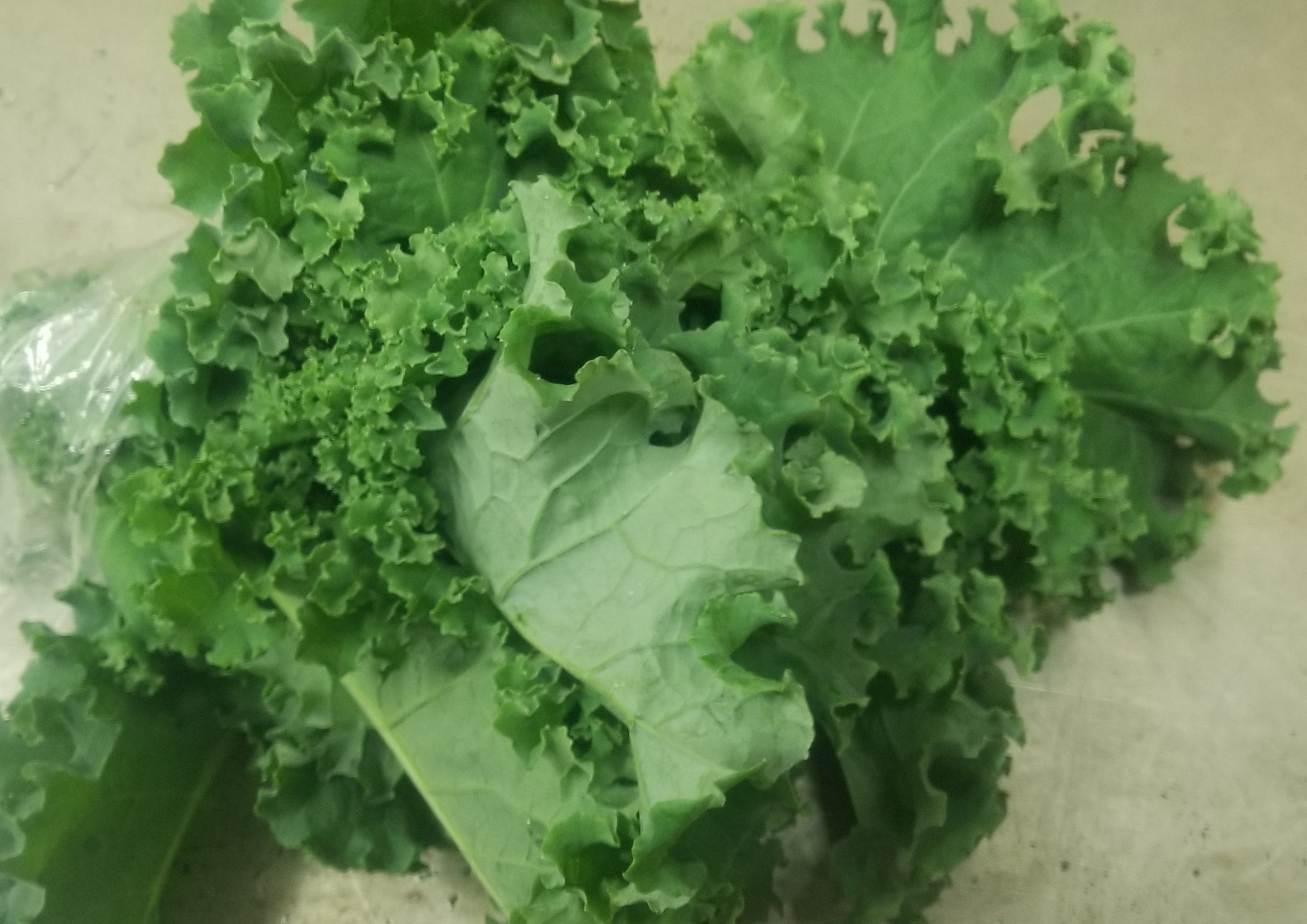 Kale, 3 Varieties to Choose From