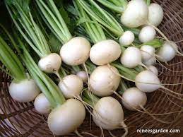 Turnips