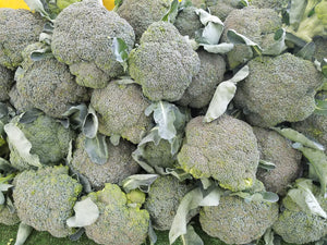 Broccoli