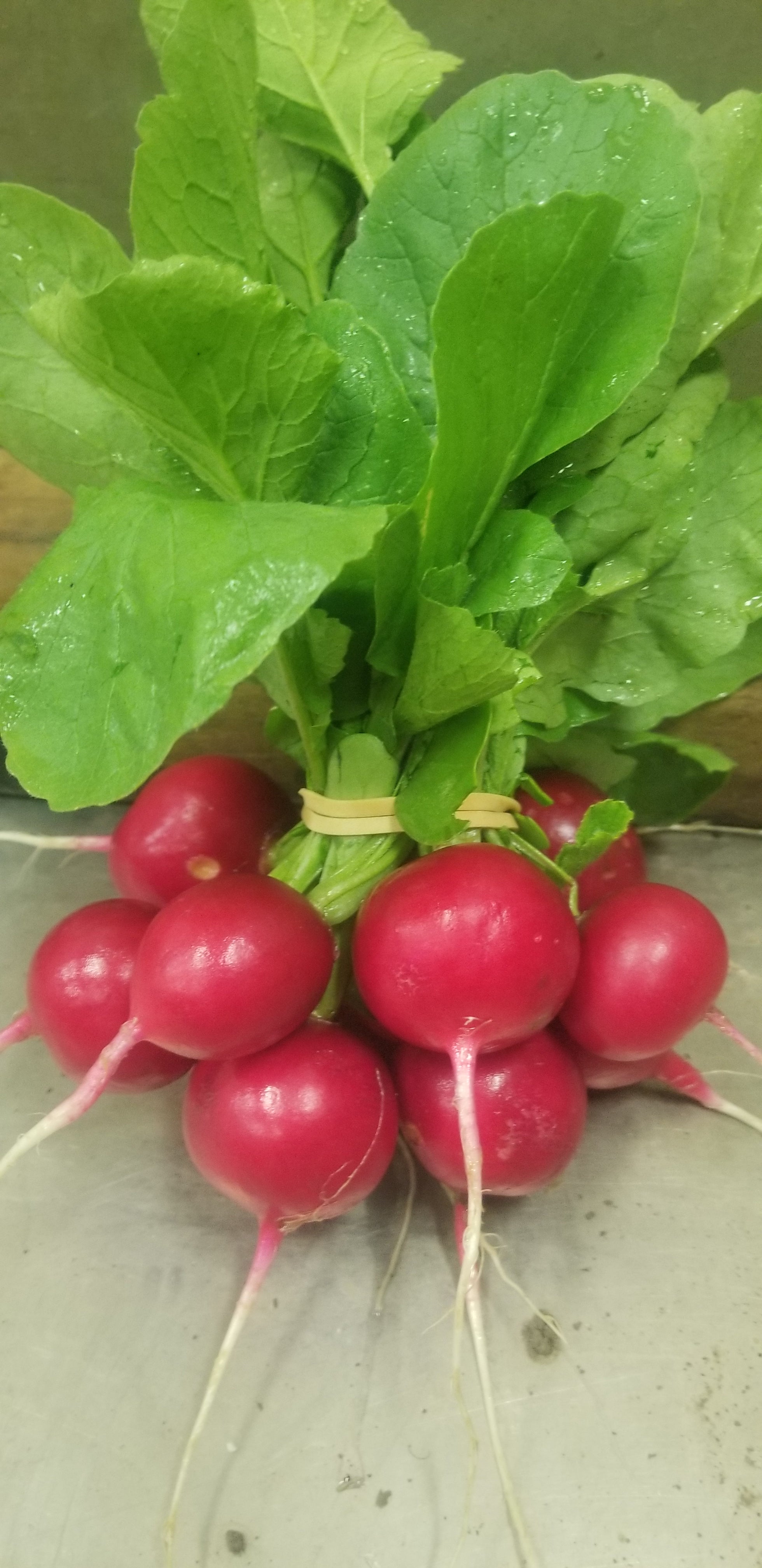 Radishes