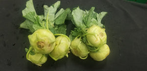 Kohlrabi