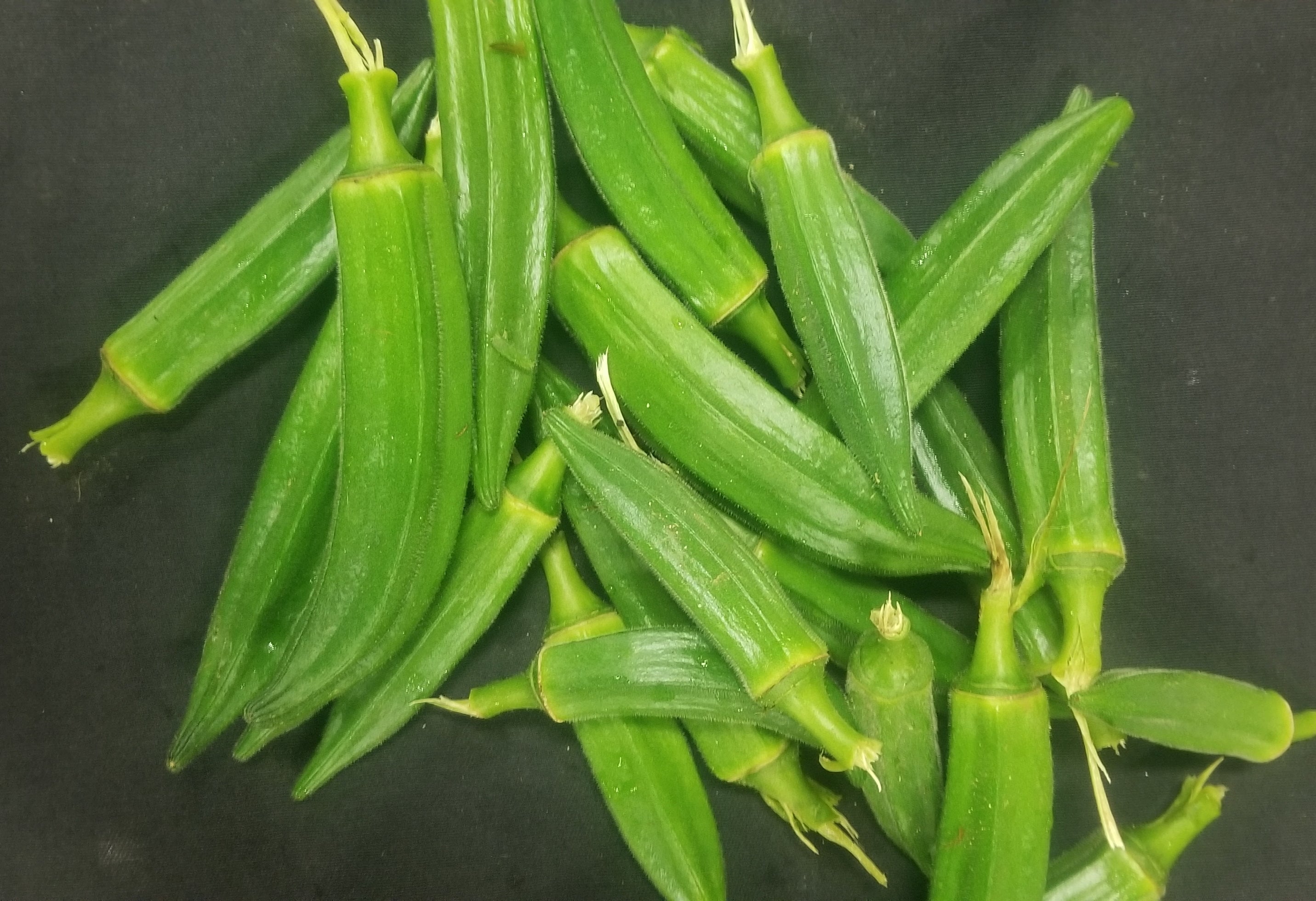 Okra
