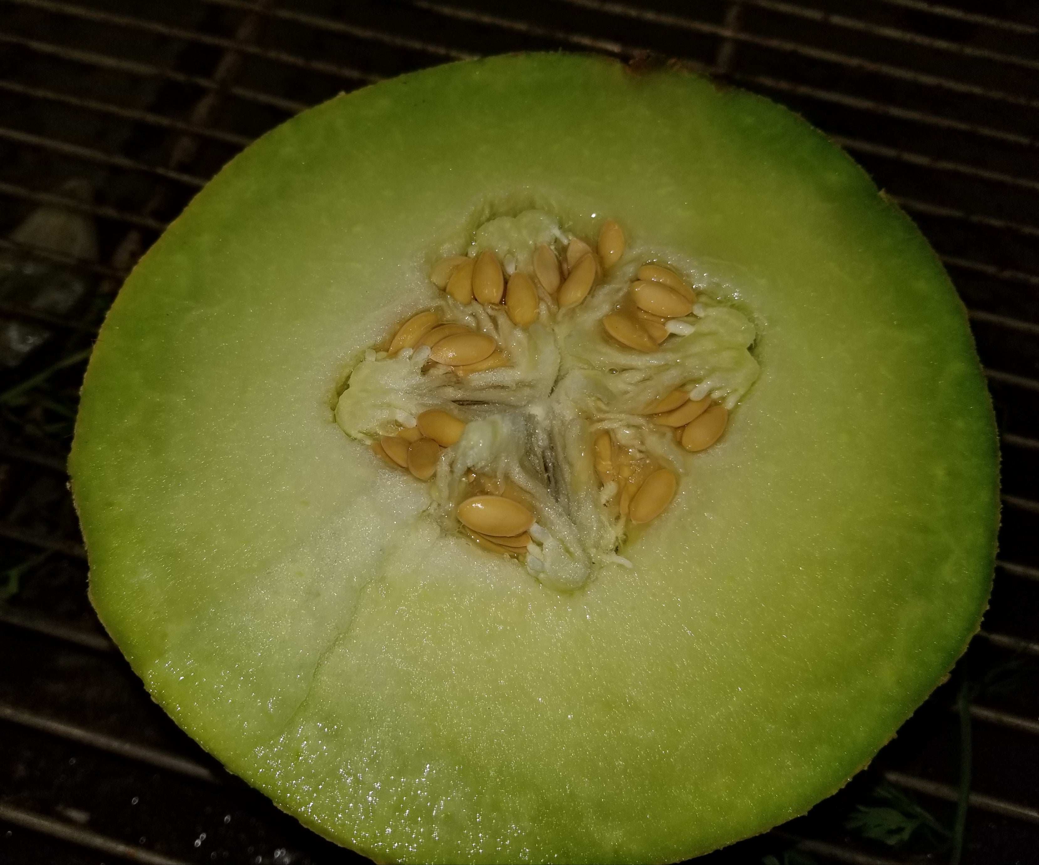 Melons