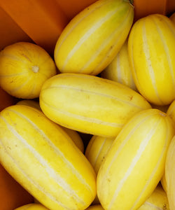 Melons