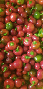 Peppers, Cherry Bombs