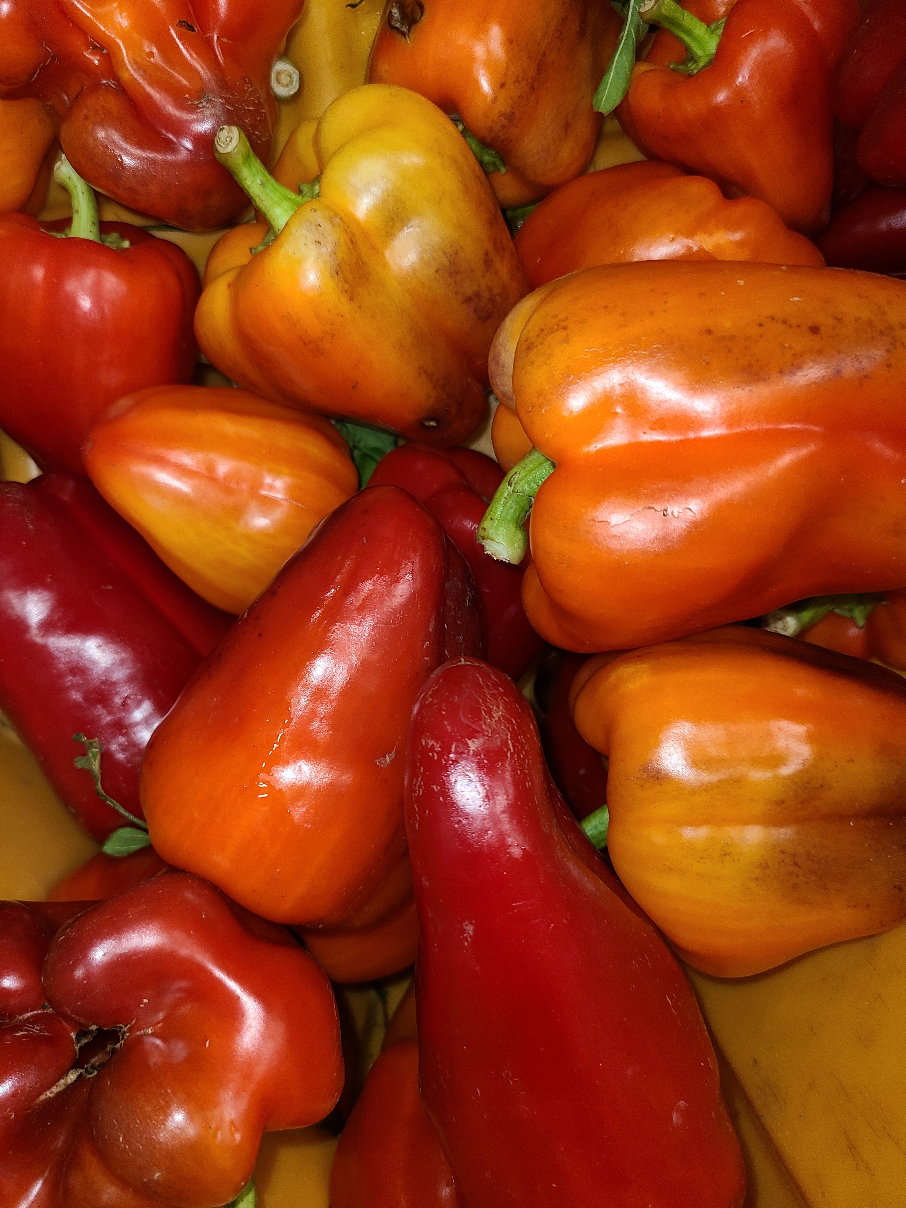 Peppers, Bell