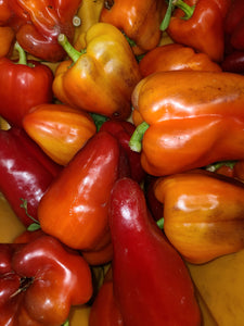 Peppers, Bell