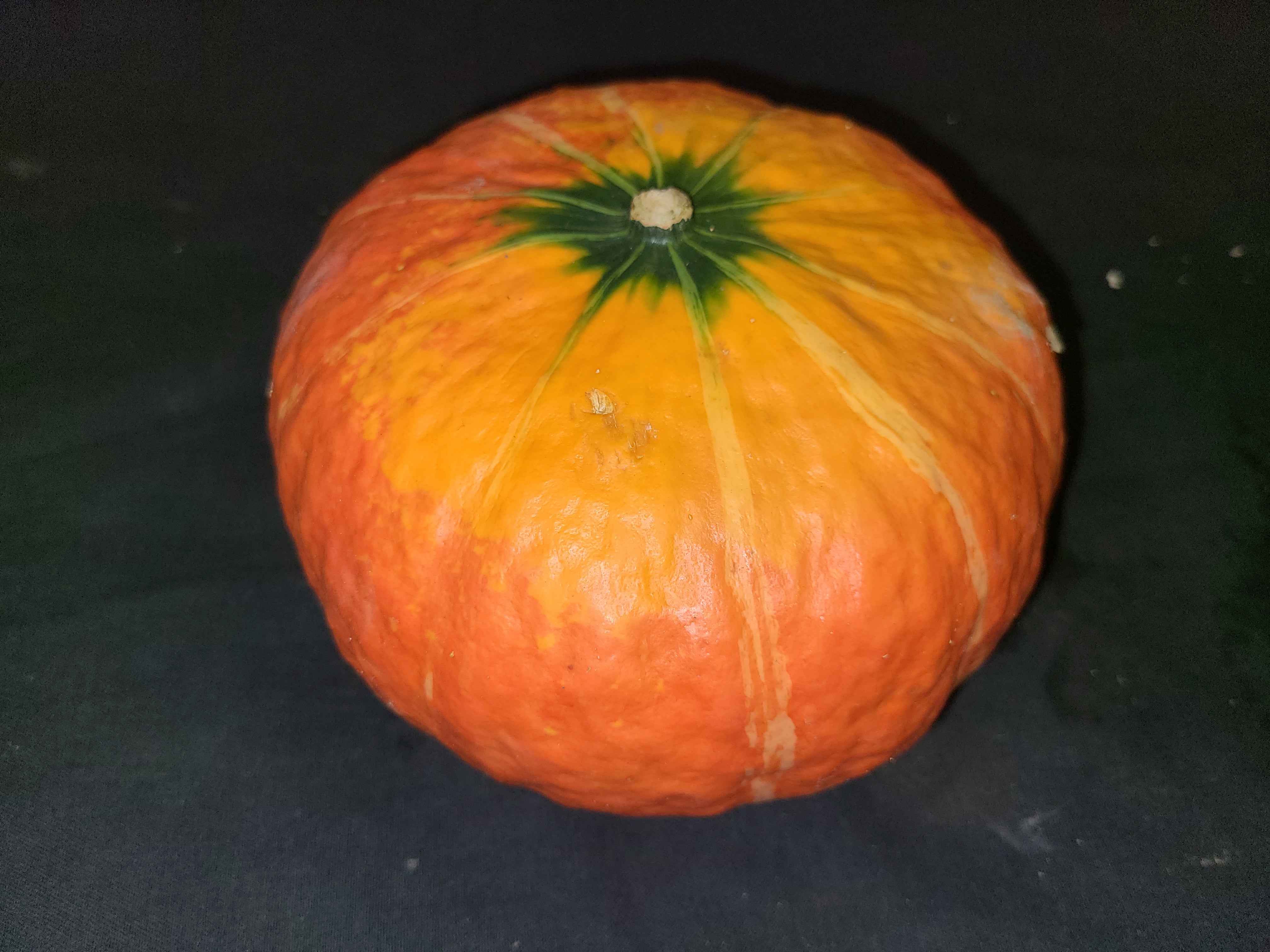 Winter squash, Red Kabotcha