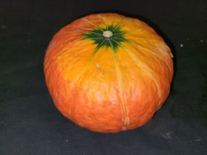 Winter squash, Red Kabotcha
