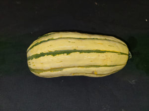 Winter squash, delicata