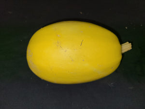 Winter Squash, Spaghetti