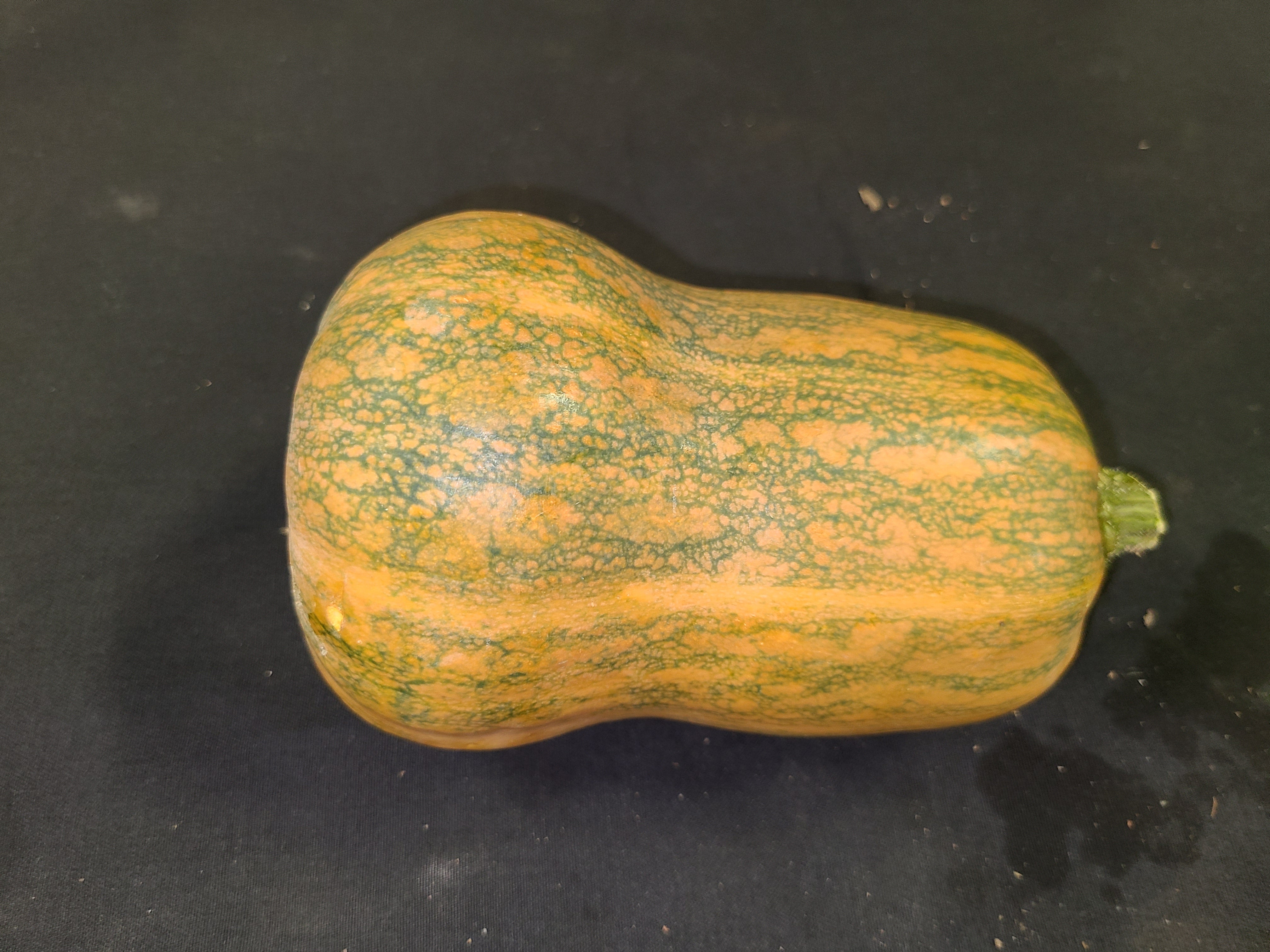 Winter squash, honey nut