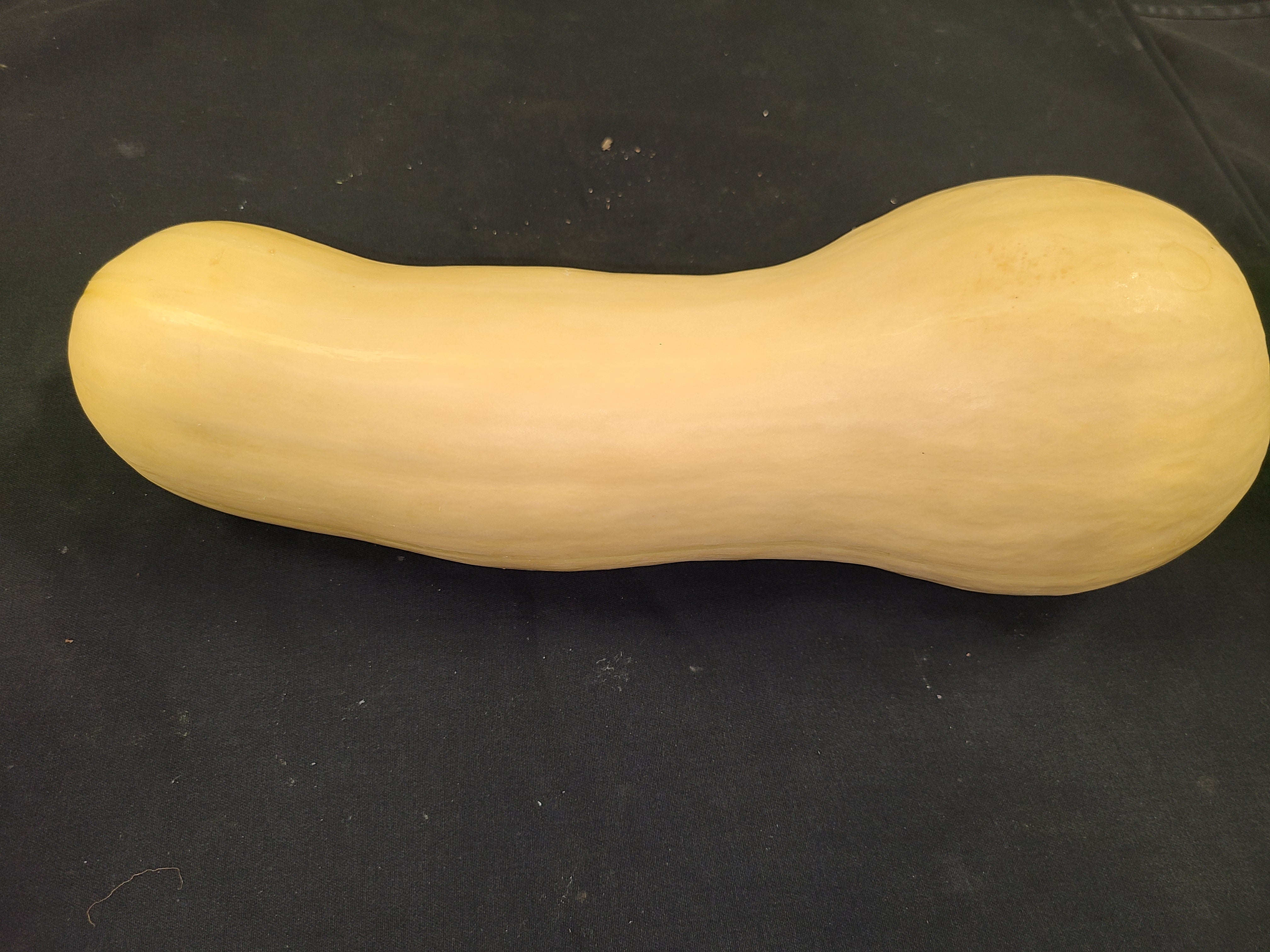 Winter Squash, Butternut