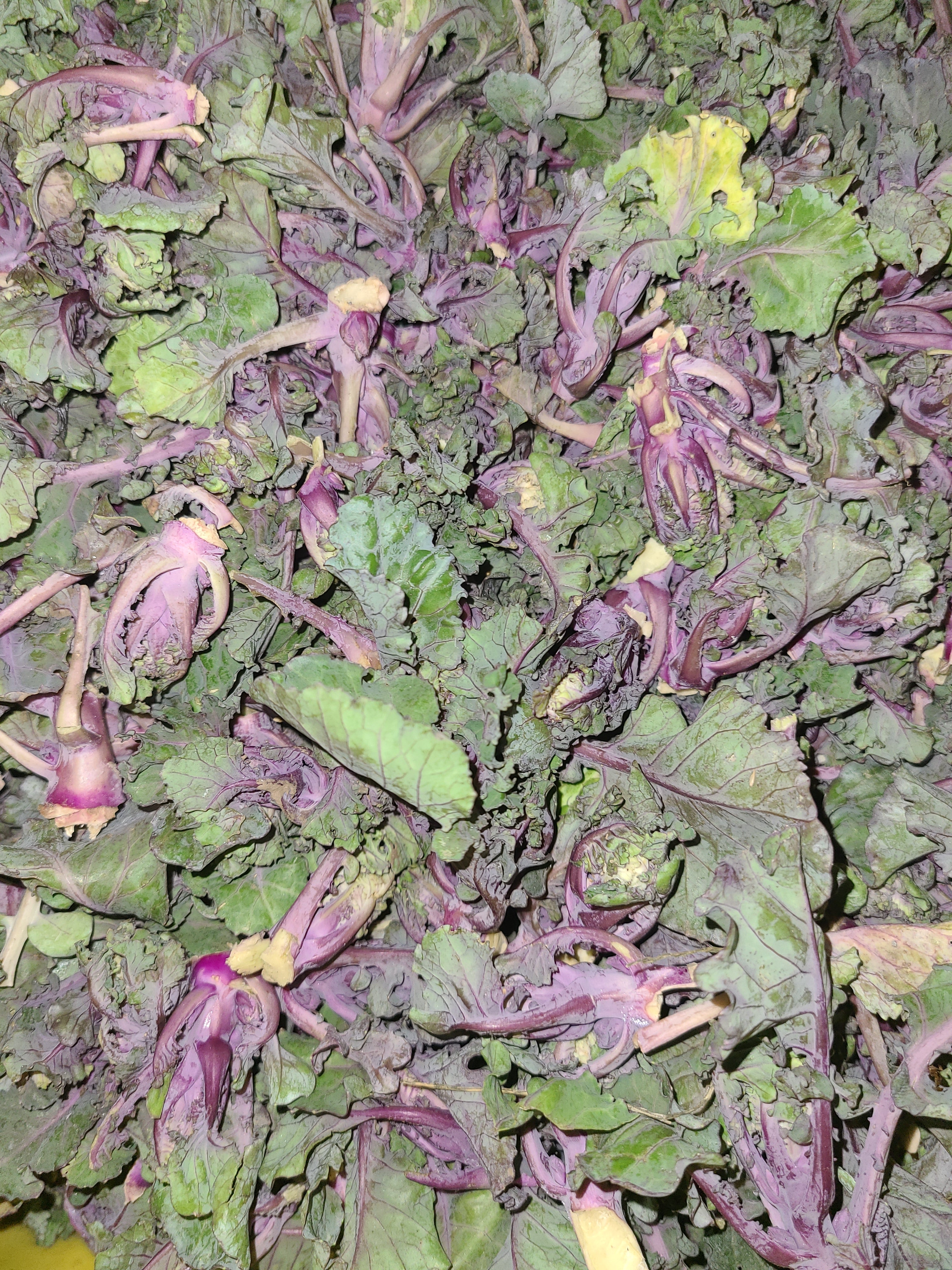 Kalettes  1/2 pound bag