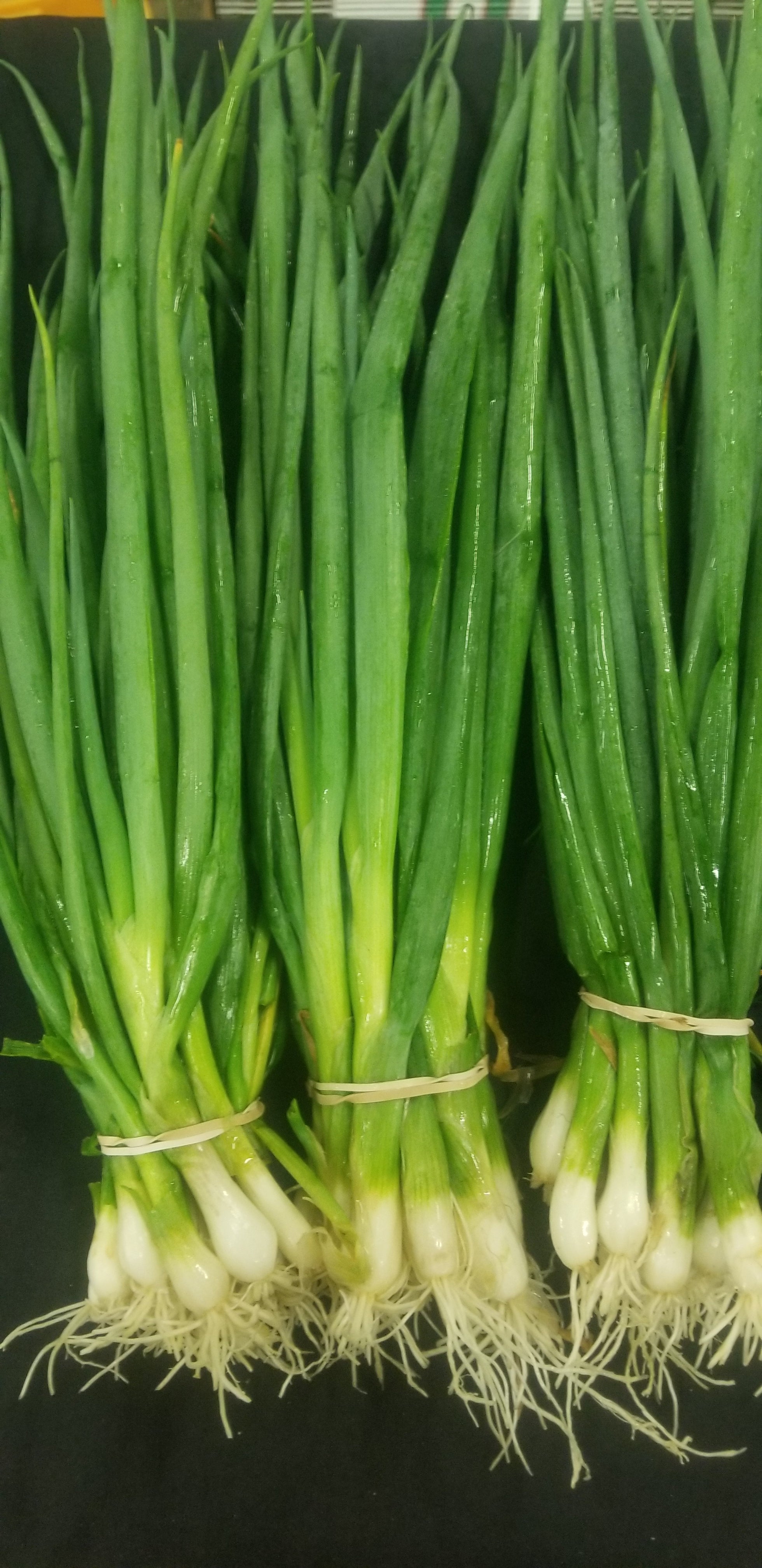 Scallions