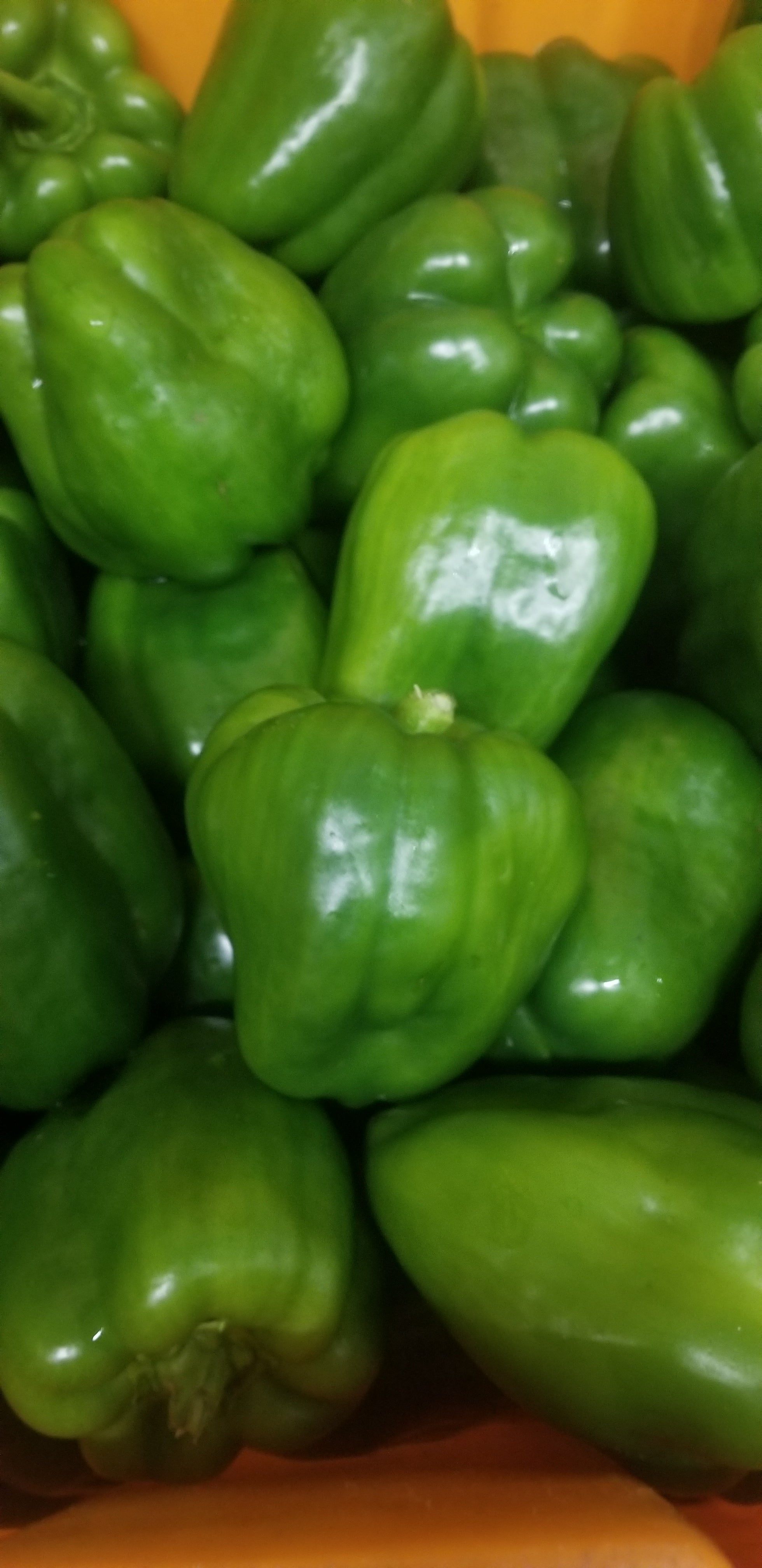 Peppers, Bell