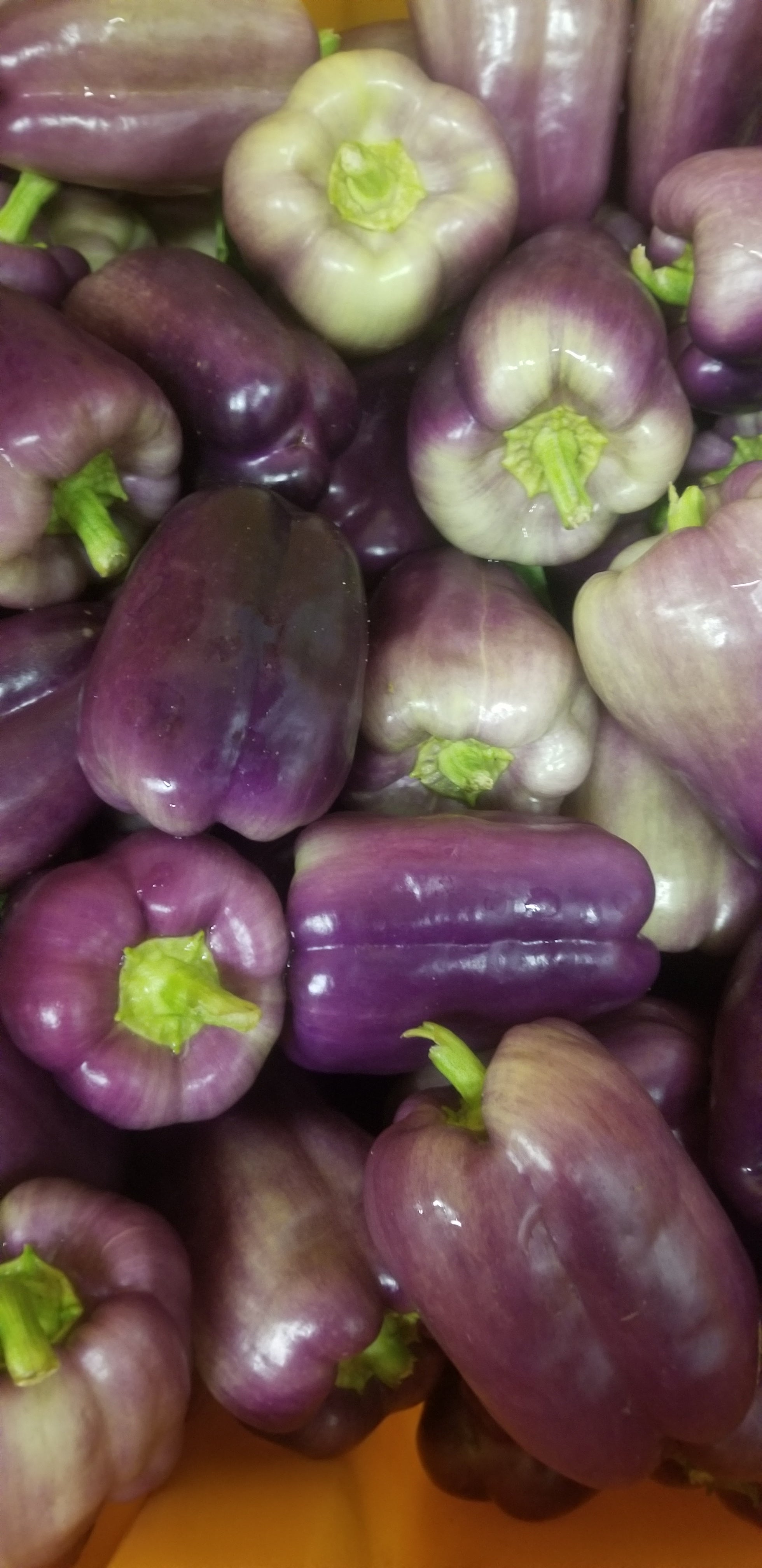 Peppers, Bell