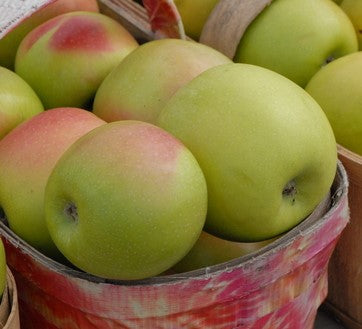 Apples, ginger gold