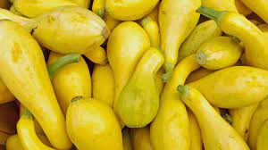 Summer Squash,  Medium sized 2lb bag