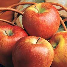 Apples, Braeburn