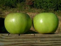 Apples, granny smith