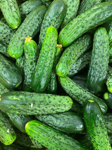 Pickling cucumbers