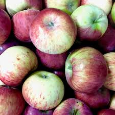 Apples, Cortland