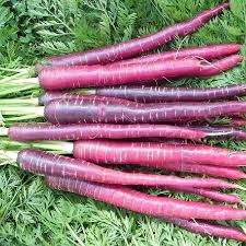 Carrots