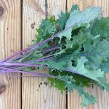 Kale, 3 Varieties to Choose From