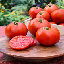 Tomato Plants (hybrids and Reds) 1 Gallon Pot