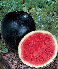 Watermelon